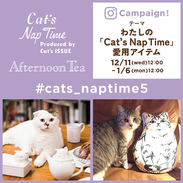 わたしの「Cat’s NapTime」愛用アイテム投稿キャンペーン！投稿者全員プレゼントも！