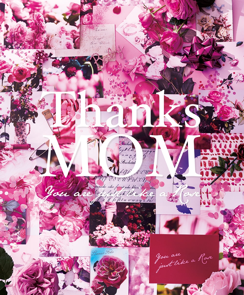 5 10は母の日 Thanks Mom You Are Just Like A Rose バラのように優しく美しいお母さんに贈る母の日ギフト Afternoon Tea