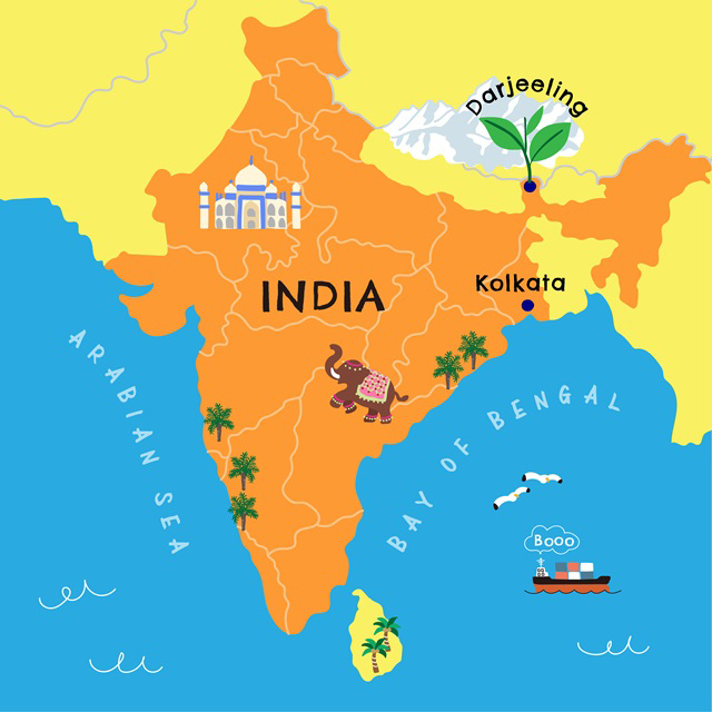 【Tea Trip前編】世界三大紅茶の地 ダージリンへ