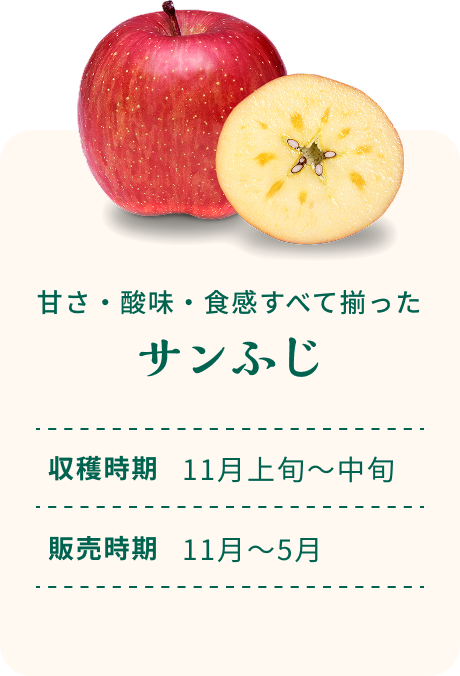 甘さ・酸味・食感すべて揃った サンふじ 収穫時期11月上旬~中旬 販売時期11月~5月