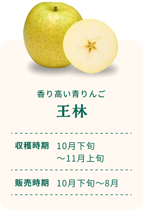 香り高い青りんご 王林 収穫時期10月下旬~11月上旬 販売時期10月下旬~8月
