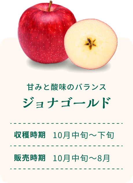 甘みと酸味のバランス ジョナゴールド 収穫時期10月中旬~下旬 販売時期10月中旬~8月