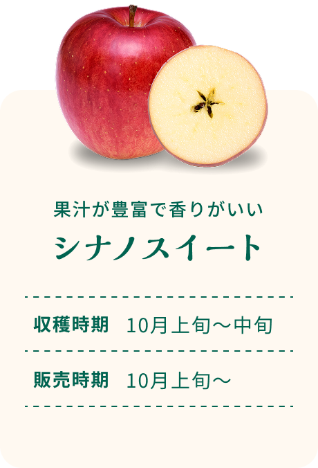 果汁が豊富で香りがいい シナノスイート 収穫時期10月上旬~中旬 販売時期10月上旬~