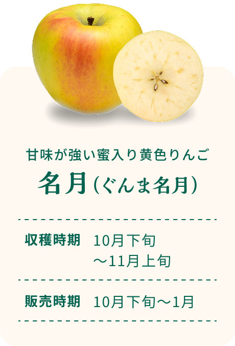 甘味が強い蜜入り黄色りんご 名月(ぐんま名月) 収穫時期10月下旬~11月上旬 販売時期10月下旬~1月