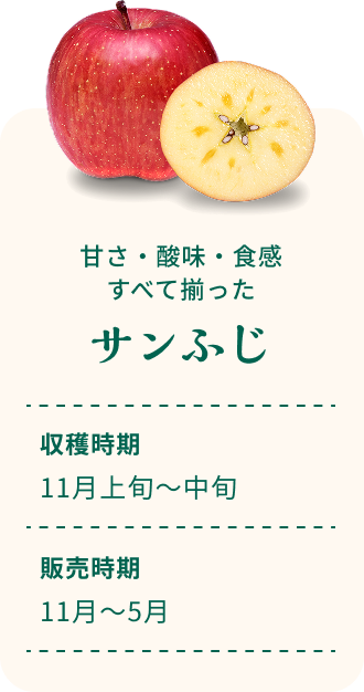 甘さ・酸味・食感すべて揃った サンふじ 収穫時期11月上旬~中旬 販売時期11月~5月