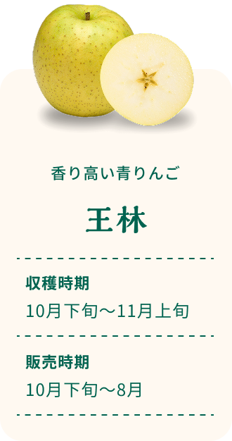 香り高い青りんご 王林 収穫時期10月下旬~11月上旬 販売時期10月下旬~8月