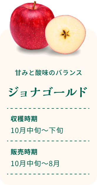 甘みと酸味のバランス ジョナゴールド 収穫時期10月中旬~下旬 販売時期10月中旬~8月