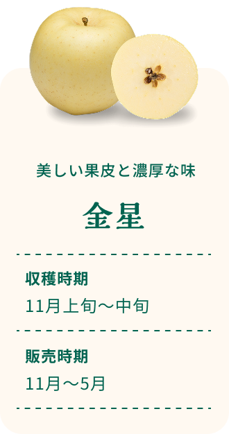 美しい果皮と濃厚な味 金星 収穫時期11月上旬~中旬 販売時期11月~5月